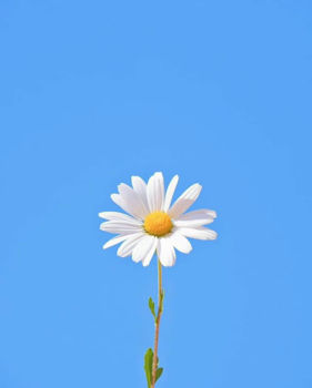 รูปภาพสำหรับผู้ผลิตนี้ 